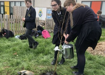 Eco Committee Tree Planting