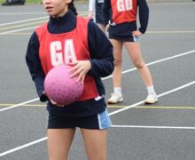 DSC 0229