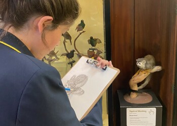 Year 10 Art Trip: Natural  History Museum, Tring
