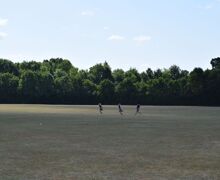 DSC 0487